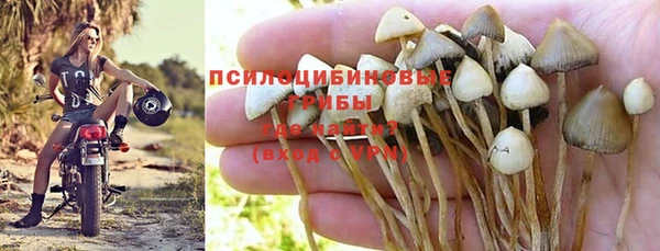круглые Арсеньев