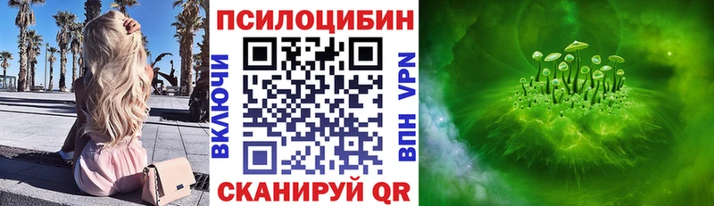 OMG сайт  Себеж  Псилоцибиновые грибы Psilocybine cubensis 